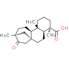 Isosteviol