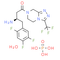Sitagliptin phosphate monohydrate