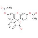 Fluorescein Diacetate
