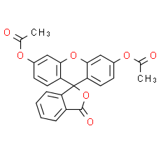 Fluorescein Diacetate