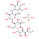 Acarbose sulfate