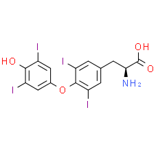 L-Thyroxine