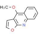 Dictamine