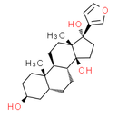 Rostafuroxin