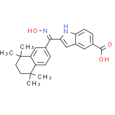 AGN 205327