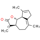 Kauniolide