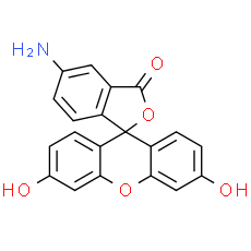 Fluoresceinamine Isomer I