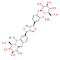 Pinoresinol Diglucoside