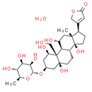 Ouabain (Octahydrate)