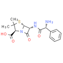 Ampicillin | CAS