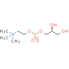 sn-Glycero-3-phosphocholine