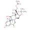 Fluocinonide