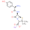 Amoxicillin Sodium | CAS#: 34642-77-8