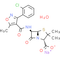 Cloxacillin (sodium monohydrate)