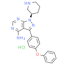 Btk inhibitor 1 (R enantiomer hydrochloride)