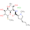 Lincomycin Hydrochloride