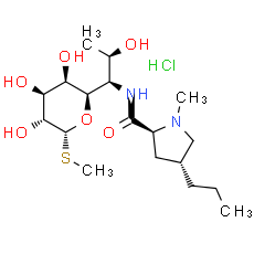 Lincomycin Hydrochloride