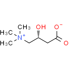 L-Carnitine
