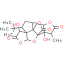 Ginkgolide A | CAS