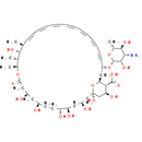 Amphotericin B | CAS