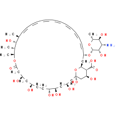 Amphotericin B | CAS