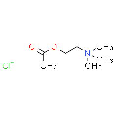 Acetylcholine chloride | CAS