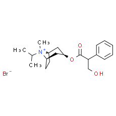 Ipratropium Bromide