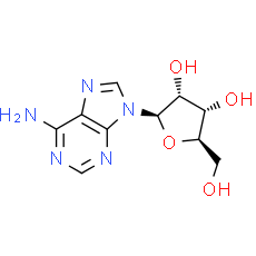 Adenosine | CAS