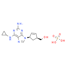 Abacavir sulfate | CAS