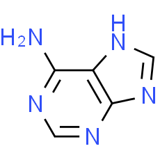 Adenine | CAS