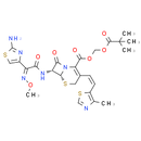 Cefditoren (Pivoxil)