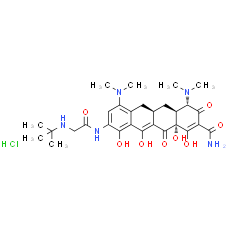 Tigecycline Hydrochloride