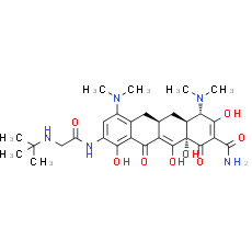 Tigecycline