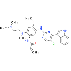 Mutant EGFR inhibitor