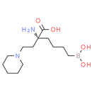 Arginase inhibitor 1