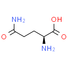 L-Glutamine | CAS