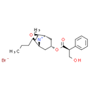 Scopolamine (butylbromide)