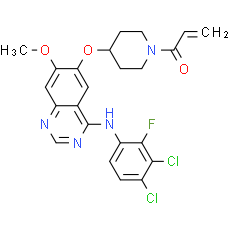 Poziotinib