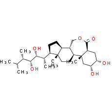 Brassinolide