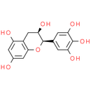 (-)-Epigallocatechin | CAS