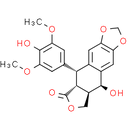 4'-Demethylepipodophyllotoxin | CAS