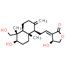 Andrographolide - CAS