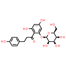 Phlorizin - CAS