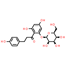 Phlorizin