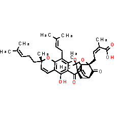 Gambogic Acid - CAS