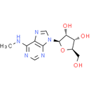 N6-Methyladenosine