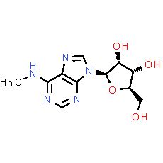 N6-Methyladenosine - CAS