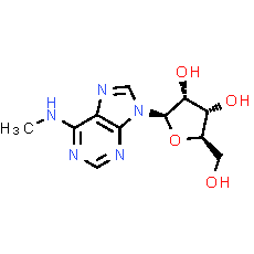 N6-Methyladenosine