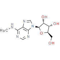 N6-Methyladenosine