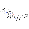 Auristatin E | CAS